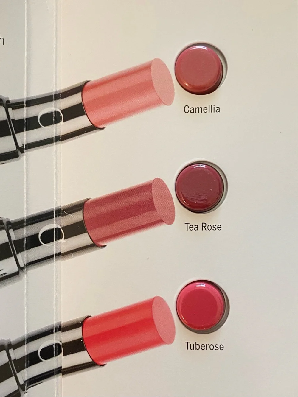4️⃣ FOR 💲1️⃣5️⃣  💋 CHANTECAILLE Lip Chic Lipstick